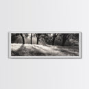 Sunrays Meadow, Tree Light, Golden Hour, Framed Canvas Print, Fall Living Room Art, Rustic Nature Decor, Warm Toned Landscape