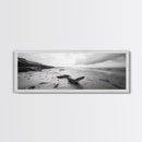 Snake On Beach, Coastal Wildlife, Dramatic Black and White, Framed Canvas Print, Nature Wall Art, Minimalist Decor, Office Statement Art