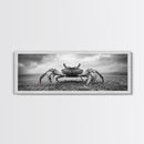 Closeup Crab, Coastal Creature, Dramatic Sand, Framed Canvas Print, Beach Wall Art, Nautical Bathroom Decor, Ocean Nature Photo