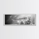 Silver Fish Closeup, Underwater Life, Marine Wildlife Art, Black and White Framed Canvas Print, Coastal Bathroom or Den Wall Art
