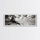 Coastal Tree Roots, Windswept Beach, Natural Form, Framed Canvas Print, Boho Wall Art, Entryway Decor, Beach House Aesthetic