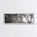 Forest Path, Tree Tunnel, Light Shadows, Woodland Magic, Framed Canvas Print, Nature Lover Gift, Entryway Wall Art, Modern Rustic Style