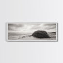 Windswept Dunes, Coastal Brush, Tumbleweed Form, Beach Nature, Framed Canvas Print, Fall Wall Art, Rustic Decor, Neutral Bedroom Style