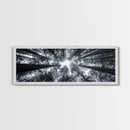 Redwood Trees, Forest Canopy, Looking Upward, Canvas Print, Black and White Nature Art, Meditation Room Decor, Minimalist Wall Art