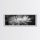 Soft Bloom, Desert Cactus Flower, Close-Up Botanical, Modern Black White Art, Framed Canvas Print, Bathroom Wall Art, Nature Photography