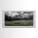 Mountain, Meadow, Wildflowers, Alpine meadow bloom and majestic peak on this Framed Canvas Print, serene Nature Wall Art for Entryway