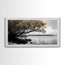 Mangrove Tree, Coastal Roots, Golden Leaves, Ocean View, Framed Canvas Print, Beach House Art, Nature Wall Decor, Minimal Coastal Vibe