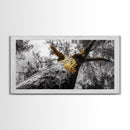 Golden Tree, Nature Upward, Woodland Strength, Forest Energy, Framed Canvas Print, Autumn Wall Art, Minimalist Tree Decor, Nature Print