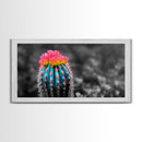 Neon Bloom Cactus, Rainbow Succulent, Desert Art, Canvas Print, Colorful Botanical Wall Art, Modern Living Room Decor, Bold Nature