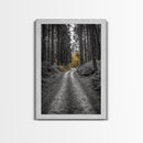 Forest Path, Yellow Trees, Autumn Trail, Framed Canvas Print, Fall Wall Art, Woodland Nature Decor, Cozy Home Accent, Entryway Artwork