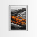 Autumn Hills, Vibrant Trees, Countryside View, Framed Canvas Print, Fall Landscape Art, Farmhouse Decor, Cozy Living Room Accent