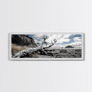 Driftwood, Coastal Tree, Beach Skeleton, Ocean Landscape, Framed Canvas Print, Coastal Decor, Neutral Tones, Office Wall Art