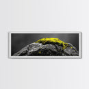 Yellow Moss, Stone Detail, Minimal Nature, Framed Canvas Print, modern zen wall art, earthy bathroom decor, botanical accent