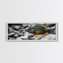 Colorful Fish Closeup, Underwater Art, Nature Photography, Canvas Print, Coastal Bathroom Decor, Vibrant Marine Life Wall Art