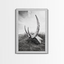 Large horns, rustic skull, bull and bear art, moody wall art, desert decor, cowboy aesthetic, framed canvas print, minimalist art