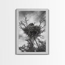 Bald Eagle, bird art, nature photography, moody art, rustic decor, patriotic wall art, black and white, framed canvas print, wildlife art