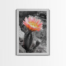 Blooming cactus, botanical print, desert flora, framed canvas print, nature decor, succulent wall art, pink flowers, southwest painting
