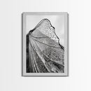 Dragonfly Wing, nature photography, moody art, wabi sabi art, minimalist art, botanical prints, framed canvas print, rustic wall art