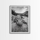 Lizard art, wildlife photography, moody art, desert decor, black and white photography, wabi sabi wall art, framed canvas print, unique gift