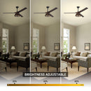 60" Farmhouse Downrod Mount Reversible Ceiling Fan with Lighting and Remote Control