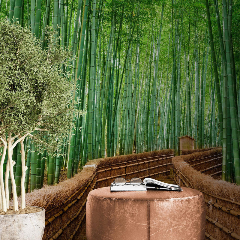 Japanese Bamboo Forest Arashiyama Woods Wall Mural