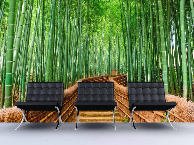 Japanese Bamboo Forest Arashiyama Woods Wall Mural