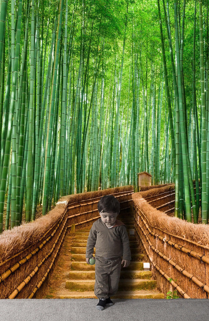 Japanese Bamboo Forest Arashiyama Woods Wall Mural