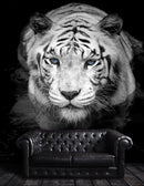 Tiger Stare Down Large Mural (Black and White)