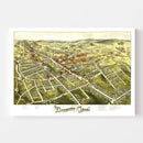 Vintage Map of Danbury, Connecticut 1875