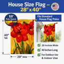 Flower - Amaryllis House Flag 28x40 Porch Sleeve Pole Decorative Outside Yard Banner Artwork Wall Hanging, Polyester
