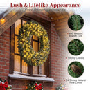 60 Inch Pre-Lit Artificial Christmas Wreath 200 LED Warm White Lights by LJGDeals