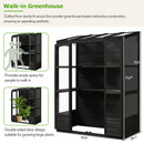 TOPMAX 78-inch Wooden Greenhouse Cold Frame with 4 Independent Skylights and 2 Folding Middle Shelves by HouseOfZazla