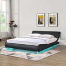 Queen Size Upholstered Platform Bed Frame With LED Lighting, Curve Design, Slat Support, No Box Spring Needed - Black by HouseOfZazla