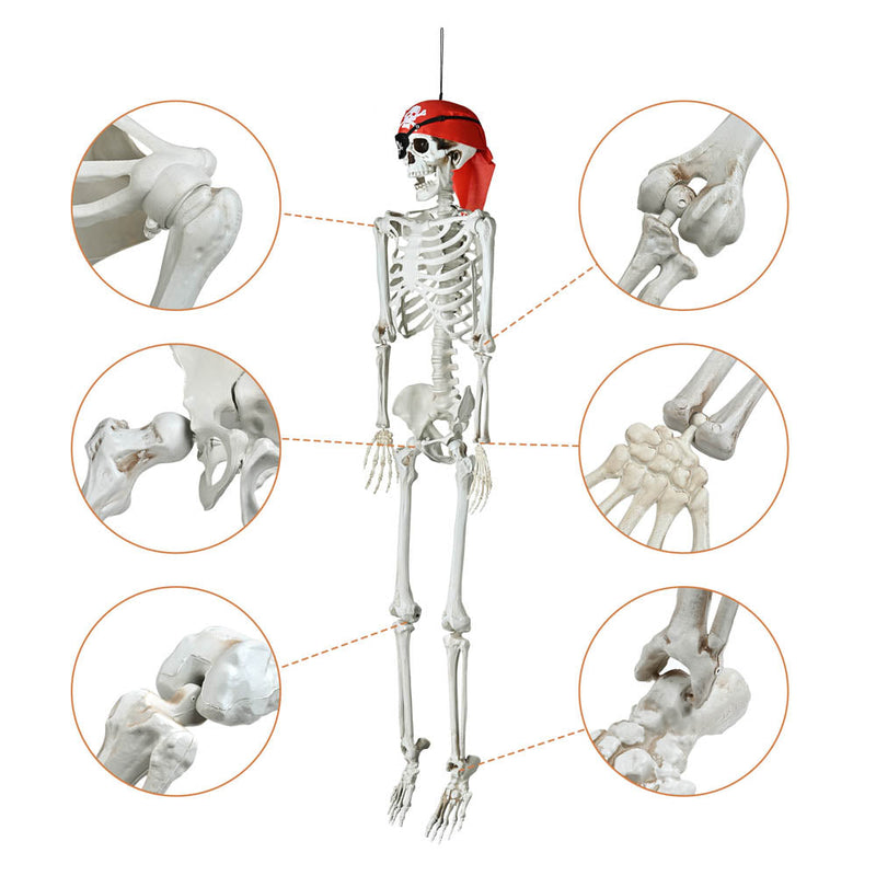Yescom 5.4ft Skeleton Posable Halloween Decoration with Pirate, Cowboy Costume
