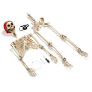 Yescom 5.4ft Skeleton Posable Halloween Decoration with Pirate, Cowboy Costume by yescomusa