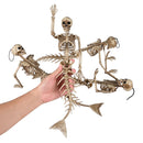 Yescom Halloween Decoration Animal Skeletons Options