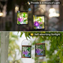 Starsoul 2 Pack Hanging Solar Lantern Outdoor Waterproof Glass Hummingbird Decorative Solar Lights for Outside Garden Yard Table Patio Decor by GreenHaven Gardens