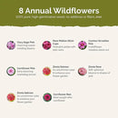 Eden Brothers Pink Perfection Flower Mixed Seeds for Planting, 1 lb, 480,000+ Seeds with Zinnia, Cosmos Versailles | Attracts Pollinators, Plant in Spring or Fall, Zones 3, 4, 5, 6, 7, 8, 9, 10 by GreenHaven Gardens