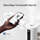 Dreo 6L Humidifiers for Bedroom, Smart Warm & Cool Mist for Large Room, 60Hr Quiet Runtime for Baby, Plant, Humidity Sensor, Indicator Light, 12H Timer, Google/Alexa, White by TinyTreasures Baby Boutique