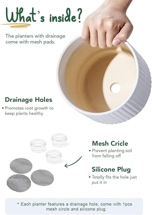 LE TAUCI Ceramic Pots for Plants, 8+6.7+5.5 Inch Plant Pots Indoor, Flower Pot with Drainage Holes, Medium Cylinder Planters for Indoor House Plants, Set of 3, White, photo 6 of 7