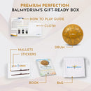 The Balmy Drum - 8 Note 6 Inch Steel Tongue Drum, Steel Drum Instrument, Drums For Children and Adults, Balmy Drum Set for Kids with Music Book, Handpan, Mallet and Carry Bag (Gold) by TinyTreasures Baby Boutique