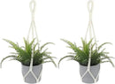 2 PCS Macrame Plant Hanger Indoor Hanging Plant Holder Hand-Woven Cotton Rope Flower Pot Basket with Metal Hook Rings Window Plant Hanger for Outdoor Hanging Pots Home Boho Decor, No Tassels, 23.6" by GreenHaven Gardens