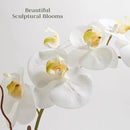 Faux White Orchid Plant, Premium Artificial Indoor Flower Display Stands 25-Inches with Beautiful Sculptural Blooms and Foliage That Lasts Forever, Grey Planter Pot Included by CozyNest Decor