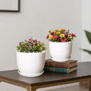 6.7 + 5.5 Inch Plant Pot, Ceramic Planter with Drainage and Saucer, Ceramic Pots for Plants, Indoor Plant pots,Succulent Pot Orchid Pots(Smooth White,Plant Pot Only) by GreenHaven Gardens