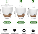 Plant Pots 12/10/9 Inch Self Watering Pots, Set of 3 Plastic Planters with Drainage Holes and Saucers,Plastic Flower Pots,Nursery Planting Pot for Indoor Out Door Plants(White) by GreenHaven Gardens