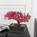 Artificial Bonsai Tree Juniper Faux Plants Indoor Fake Plants Decor with Ceramic Pots for Home Table Office Desk Bathroom Shelf Bedroom Living Room Farmhouse Decorations-Pink by GreenHaven Gardens