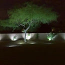 2 Pack Outdoor Landscape Lighting 5W COB LED Spotlights for Garden Lawn Wall Yard Path with Spiked Stand and Plug Adapter (Cool White)