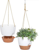 8 inch Hanging Planters, 2 Pack Self Watering Hanging Pots with 20oZ Deep Reservoir for Indoor Outdoor Plants Flowers, White with Brown by GreenHaven Gardens