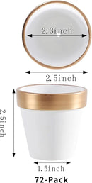 Yishang 72 pcs Small Mini White&Gold Clay Pots, 2.5'' Terracotta Pot Clay Ceramic Pottery Planter,Cactus Flower Terra Cotta Pots,Succulents Nursery Pots,with Drainage Hole,for Crafts,Wedding Favor by GreenHaven Gardens