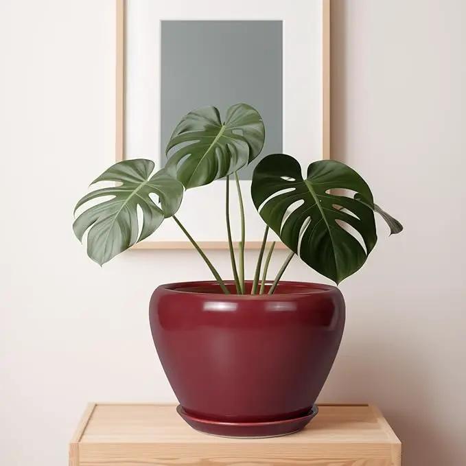 10 Inch Plant Pot - Ceramic Planter Pot with Drainage Hole and Saucer Large Planter for Indoor Plants Round Outdoor Flower Pot Mid-Century Decor Red, photo 7 of 7